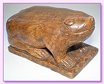 Burl wood toad